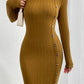 Turtleneck Long Sleeve Mini Dress